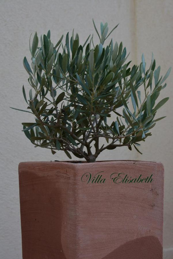 Villa Elisabeth آيكس أومبروفينس المظهر الخارجي الصورة